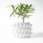 3D Printed Eco-Friendly Irregular Geometry Plant Pot Textured Lines Biodegradable maceta for Home Decoration  Sustainable Gift