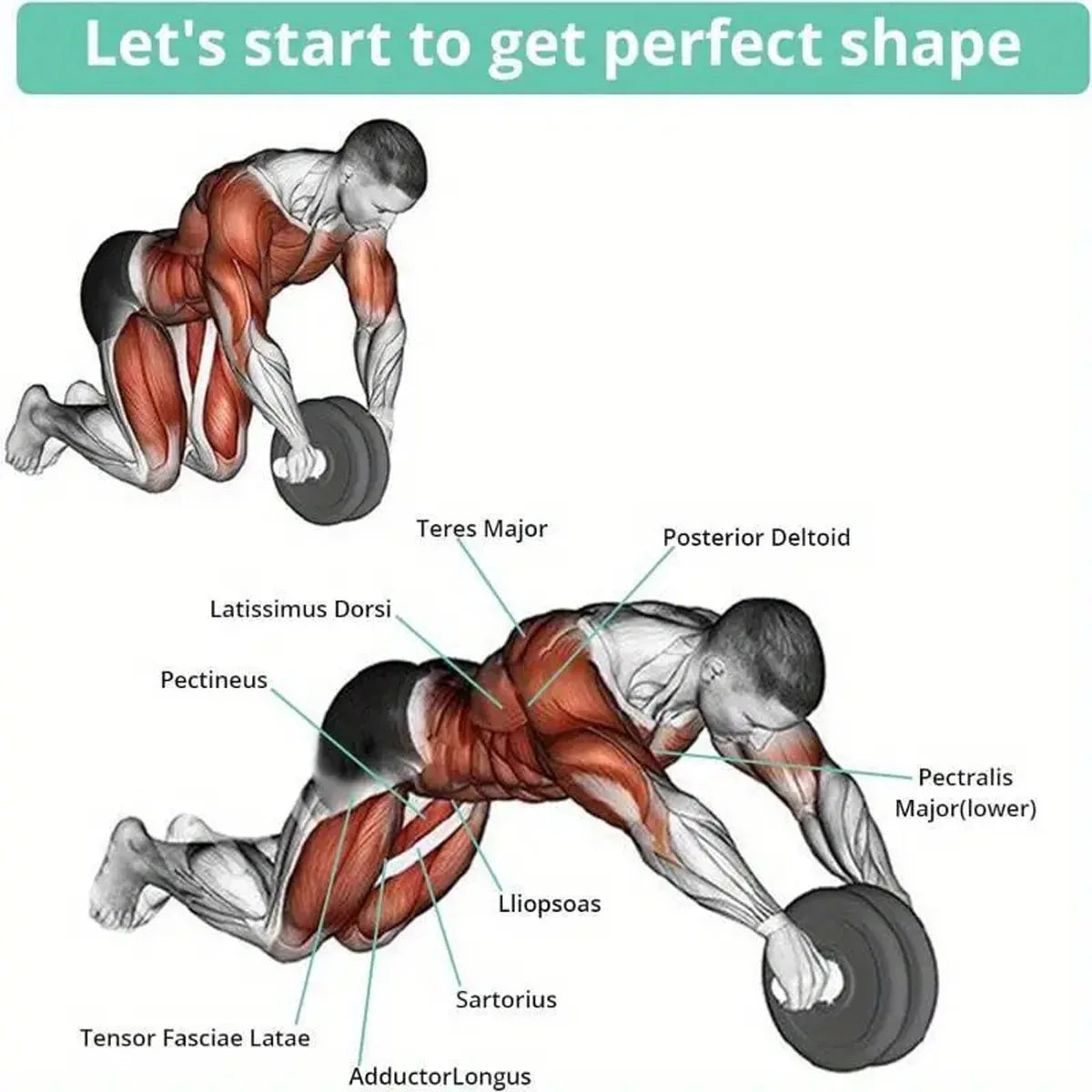 7-in-1Fitness Set Abdominal Fitness Wheel Indoor Sports Product Push up Support ab Wheel Comprehensive Training Fitness Equipmen