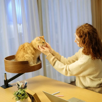 Modern Eco-Friendly Solid Wood Office Desktop Cat Nest 360 Rotating Pet Bed Floating Climbing Frame Cat Basin Petting Area