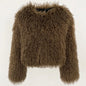 Fur Coat Eco-friendly Fur Jacket New Style Solid Color Women Clothing Cropped Jacket Direct From Manufacturer Eco-friendly Fur