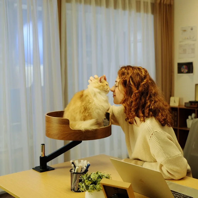 Modern Eco-Friendly Solid Wood Office Desktop Cat Nest 360 Rotating Pet Bed Floating Climbing Frame Cat Basin Petting Area