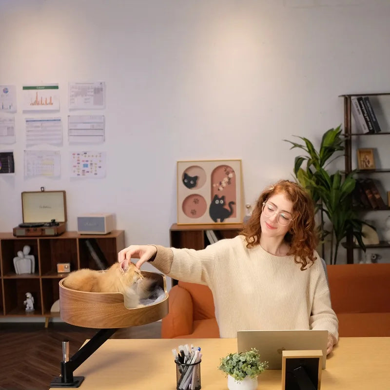 Modern Eco-Friendly Solid Wood Office Desktop Cat Nest 360 Rotating Pet Bed Floating Climbing Frame Cat Basin Petting Area