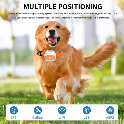 G01 GPS Pet Tracker for Multiple Pets, Small & Waterproof with Long Battery Life, Anti-Loss Device for Cats and Dogs